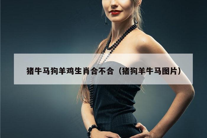 猪牛马狗羊鸡生肖合不合（猪狗羊牛马图片）